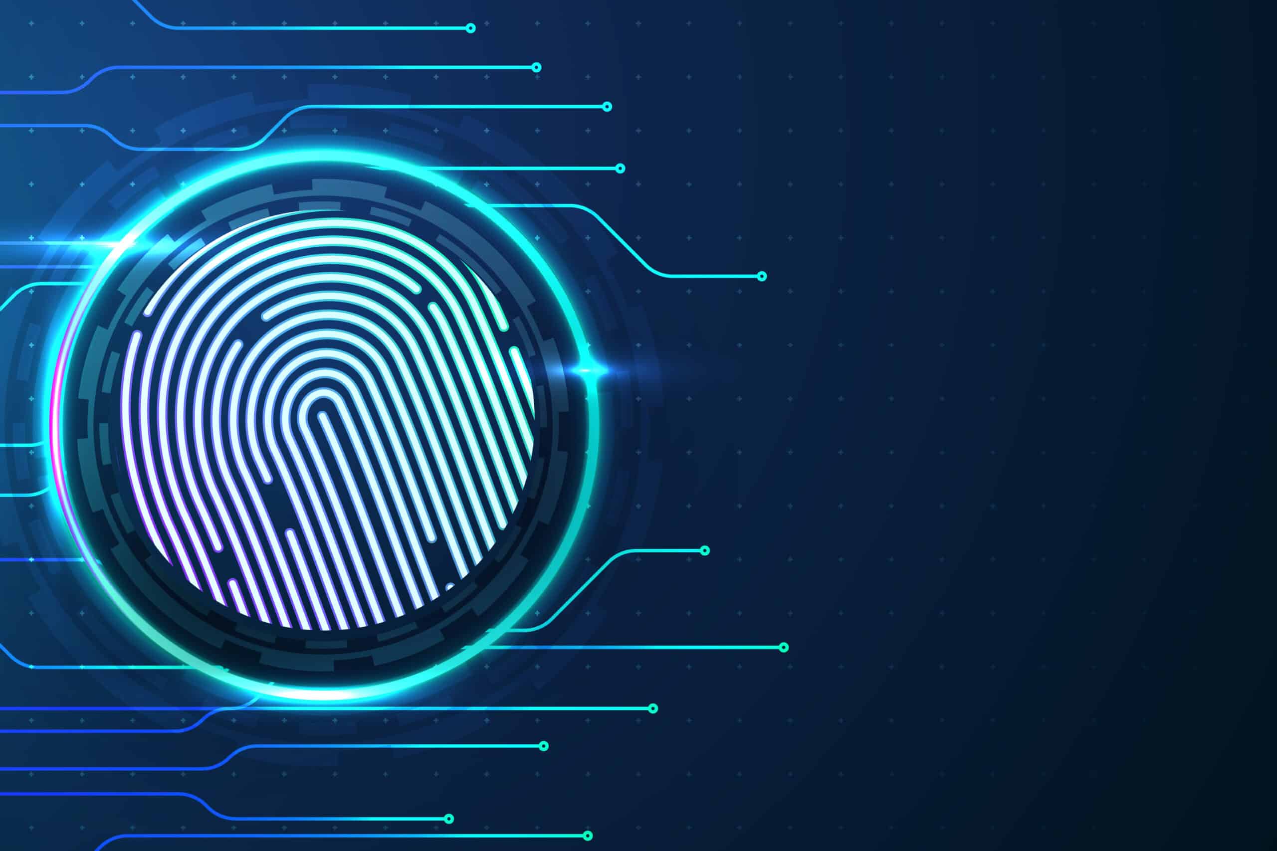 The Role Of Identity Verification In Ensuring Online Security