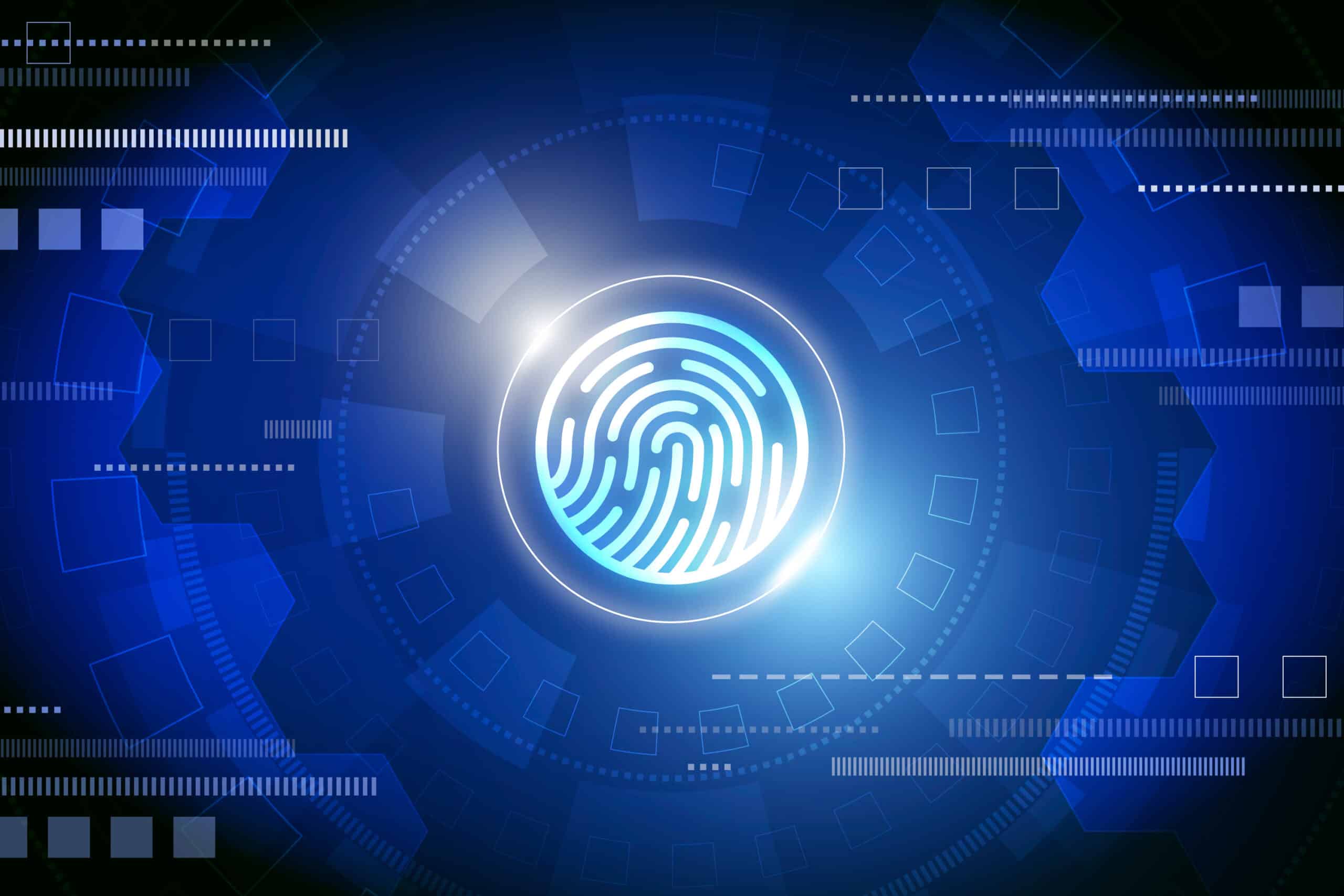 Exploring The Role Of Biometrics In Identity Verification